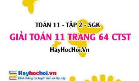 Giải Toán 11 trang 64 tập 2 Chân trời sáng tạo